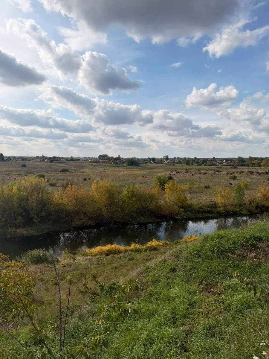 Ділянка 12 соток, Гоща: плодові дерева, друга лінія від Горині, фото 5