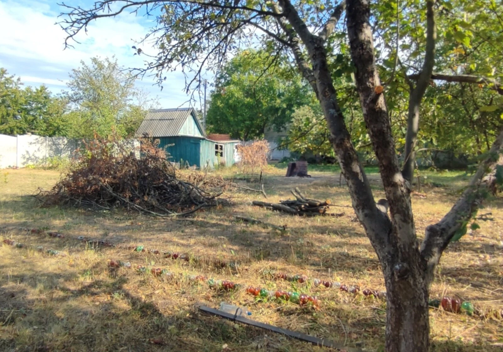 Ділянка 12 соток, Хорошеве: сад і город, під житлову забудову, фото 4