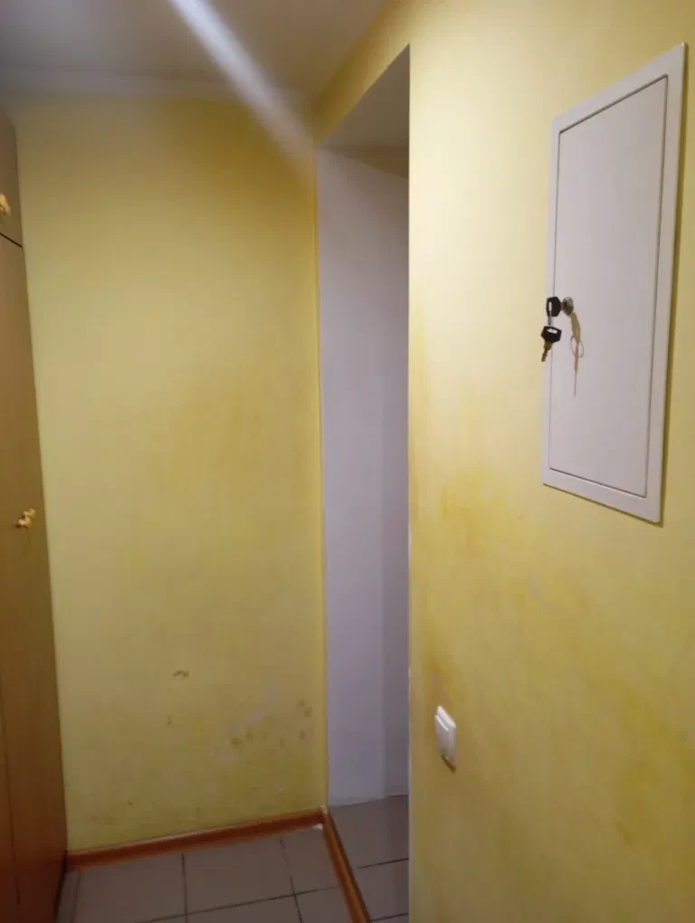 1-кімнатна квартира, Голосіївський: бомбосховище 7 м², ремонт 2012 - фото 2