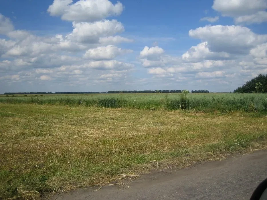Ділянка 35 соток, Петрівка: 25 під будівництво, газ, фото 4