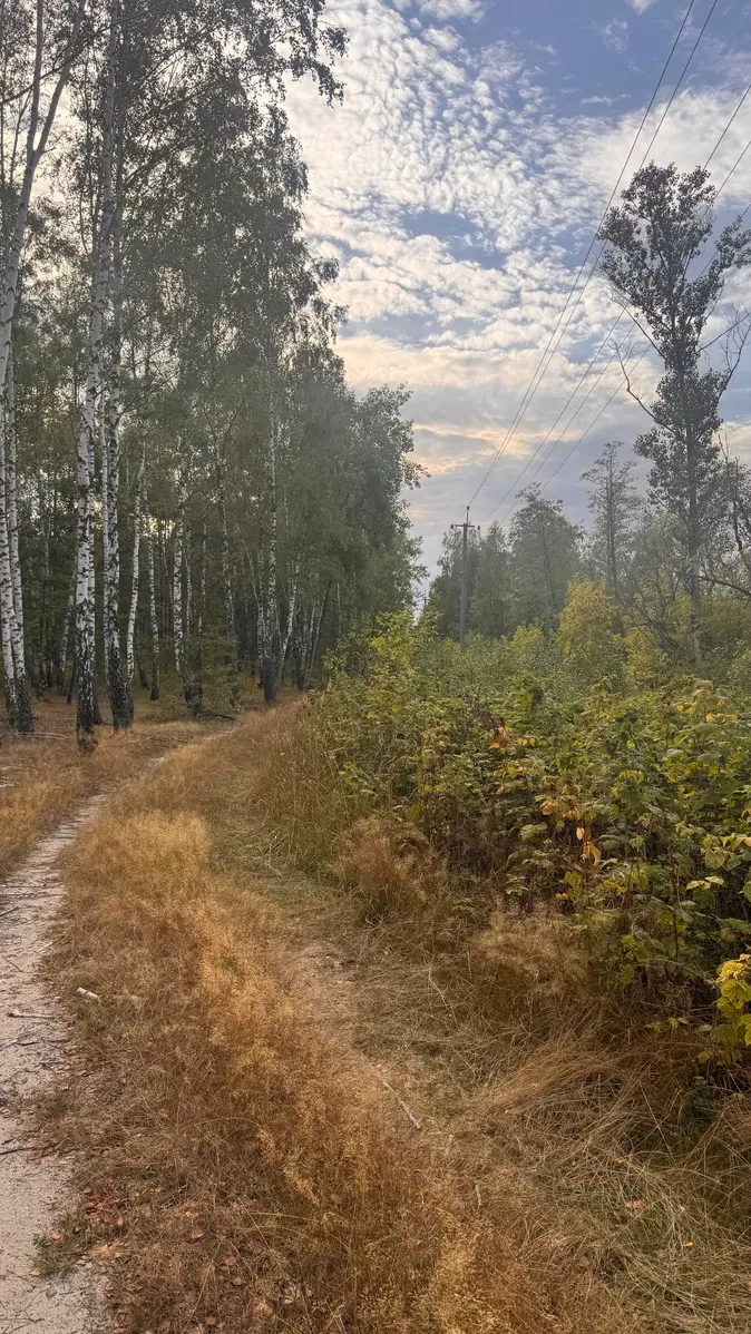 Ділянка 67 соток, Калинівка: біля лісу, до Києва 40 км, фото 5