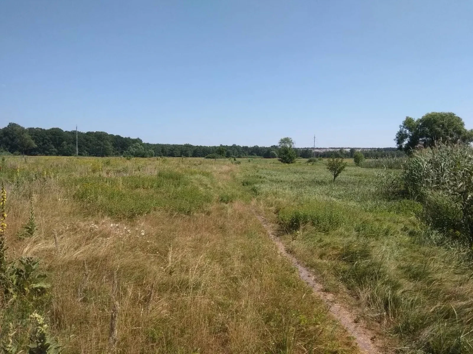 Ділянка 12 соток, Макухівка: під садівництво, поруч ліс, річка та озеро - фото 4