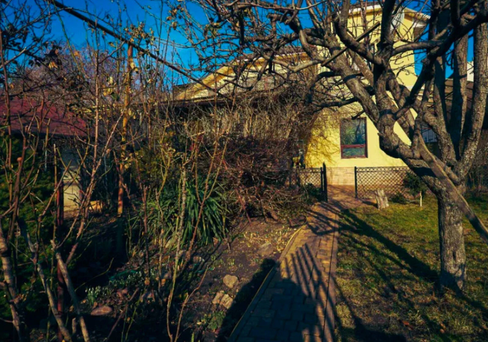 Будинок, Київський: гараж із підвалом, тераса, сад, фото 3