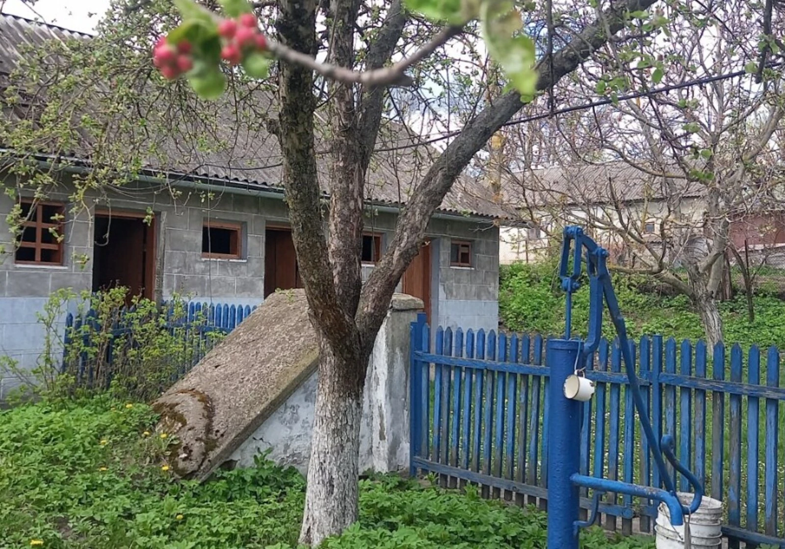 Дача, Денисов: колодец, сад, участок 2500 м² - фото 2
