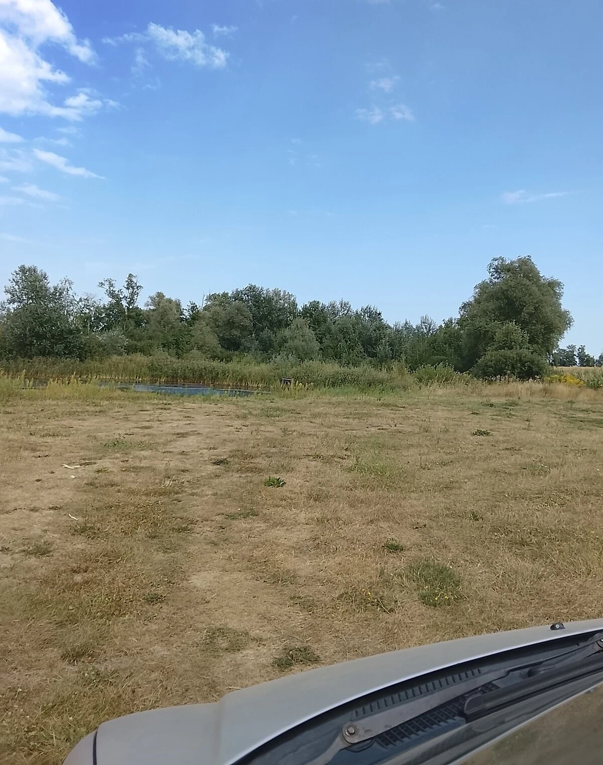 Ділянка 15 соток, Новоселівка (Полтава): під житлову забудову - фото 3