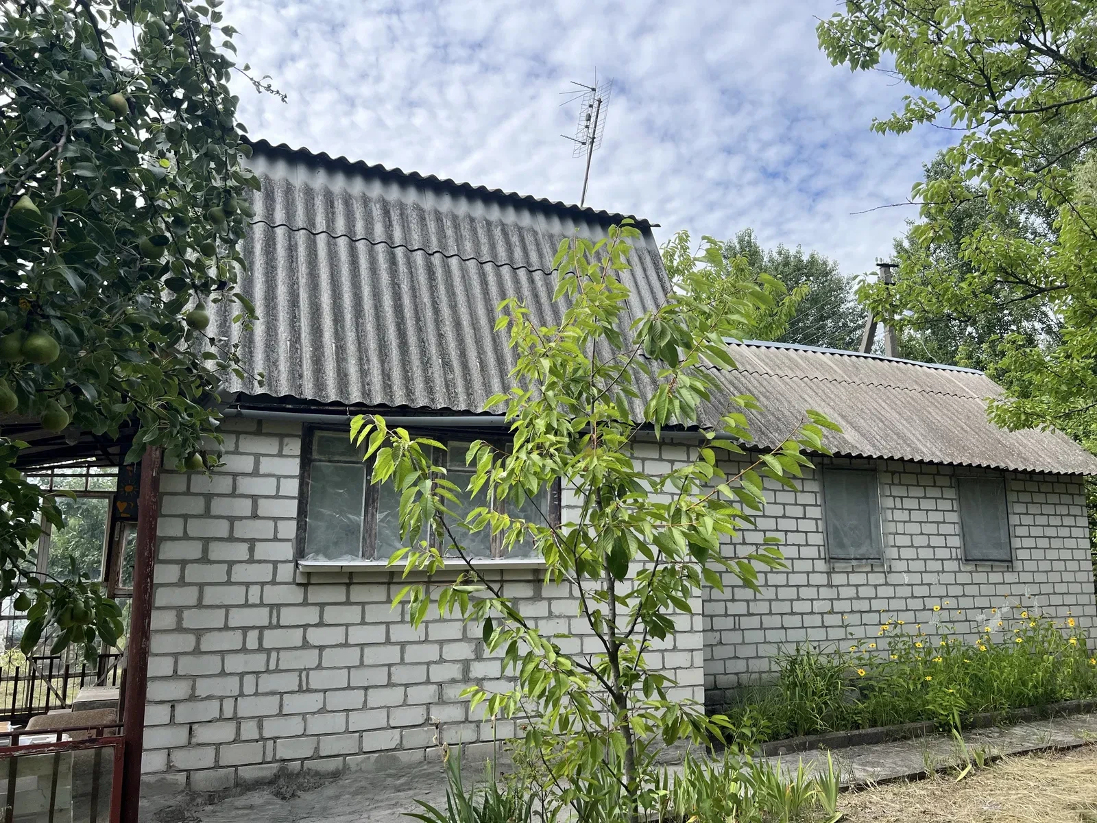 Дача, Благодатне: вихід до води, перша лінія, 15 км від Черкас - фото 2