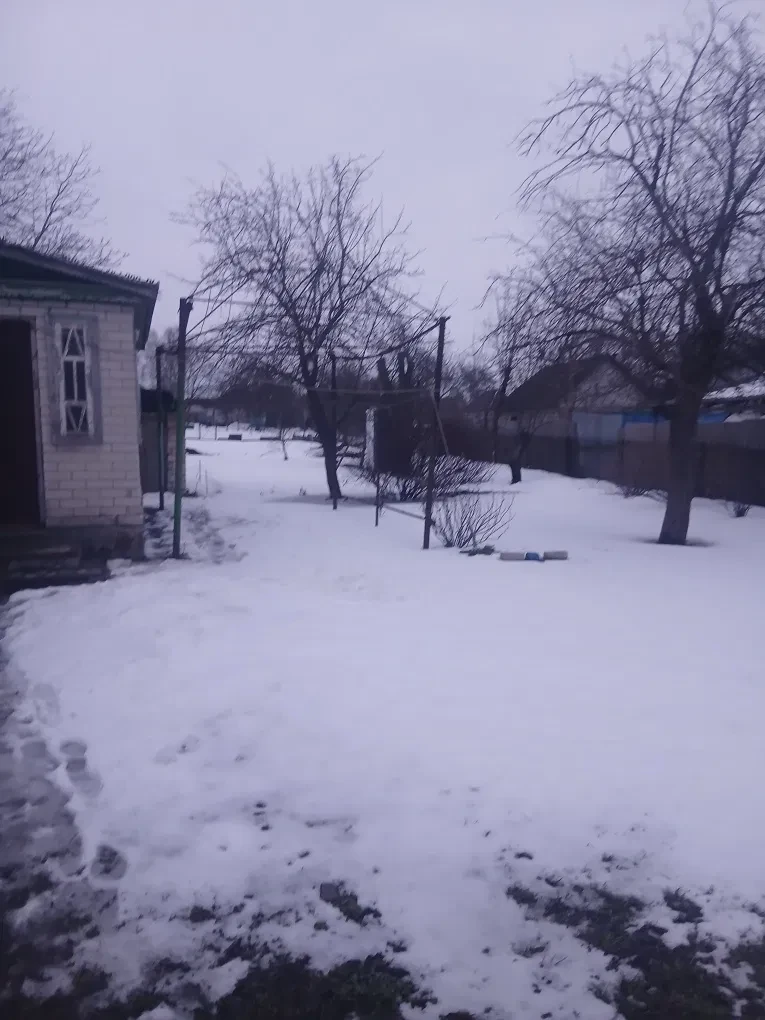 Будинок, Руська Поляна: 14 соток, поруч ліс, вода у дворі, фото 5