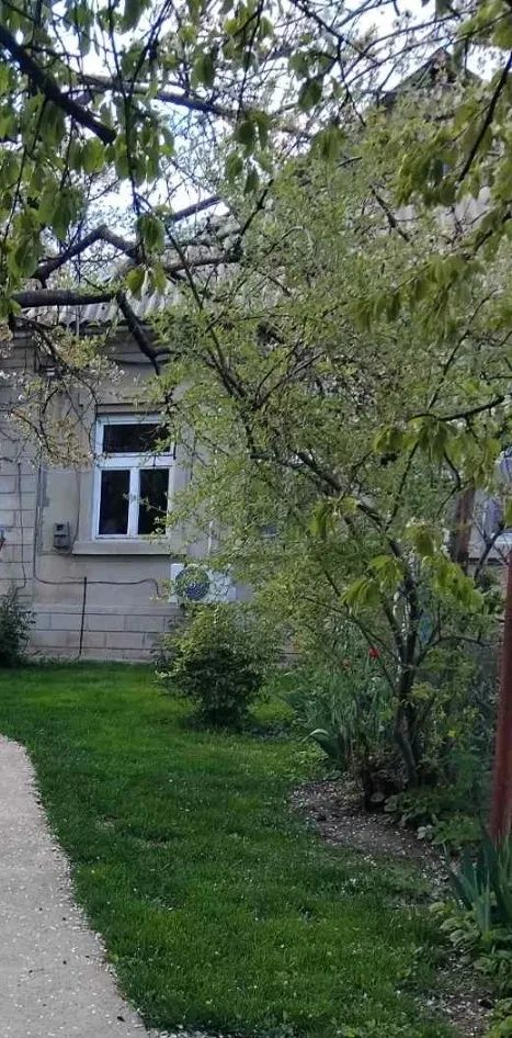 Будинок, Фонтан: резервне живлення, можна з тваринами - фото 4