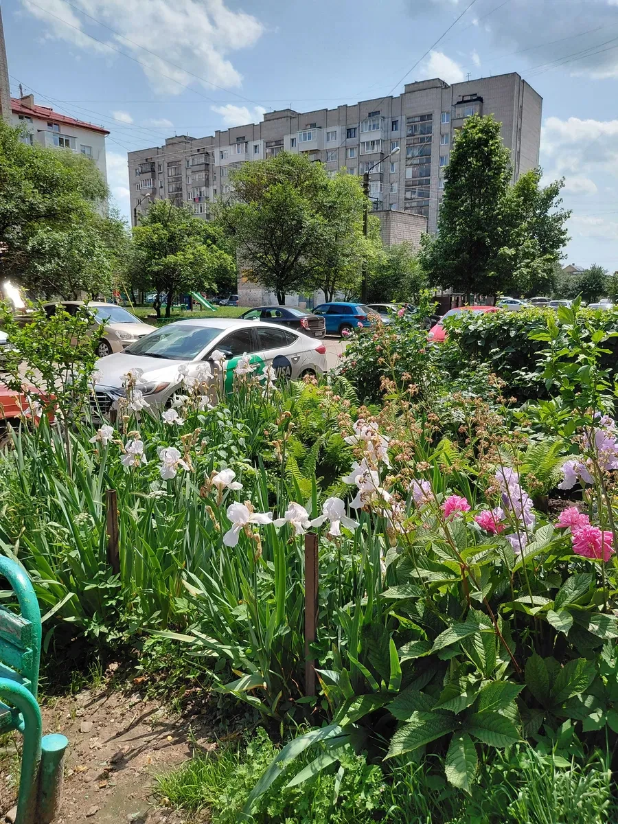 3-кімнатна квартира, Брюховичі: частка 1/2, друга частка згодом - фото 5