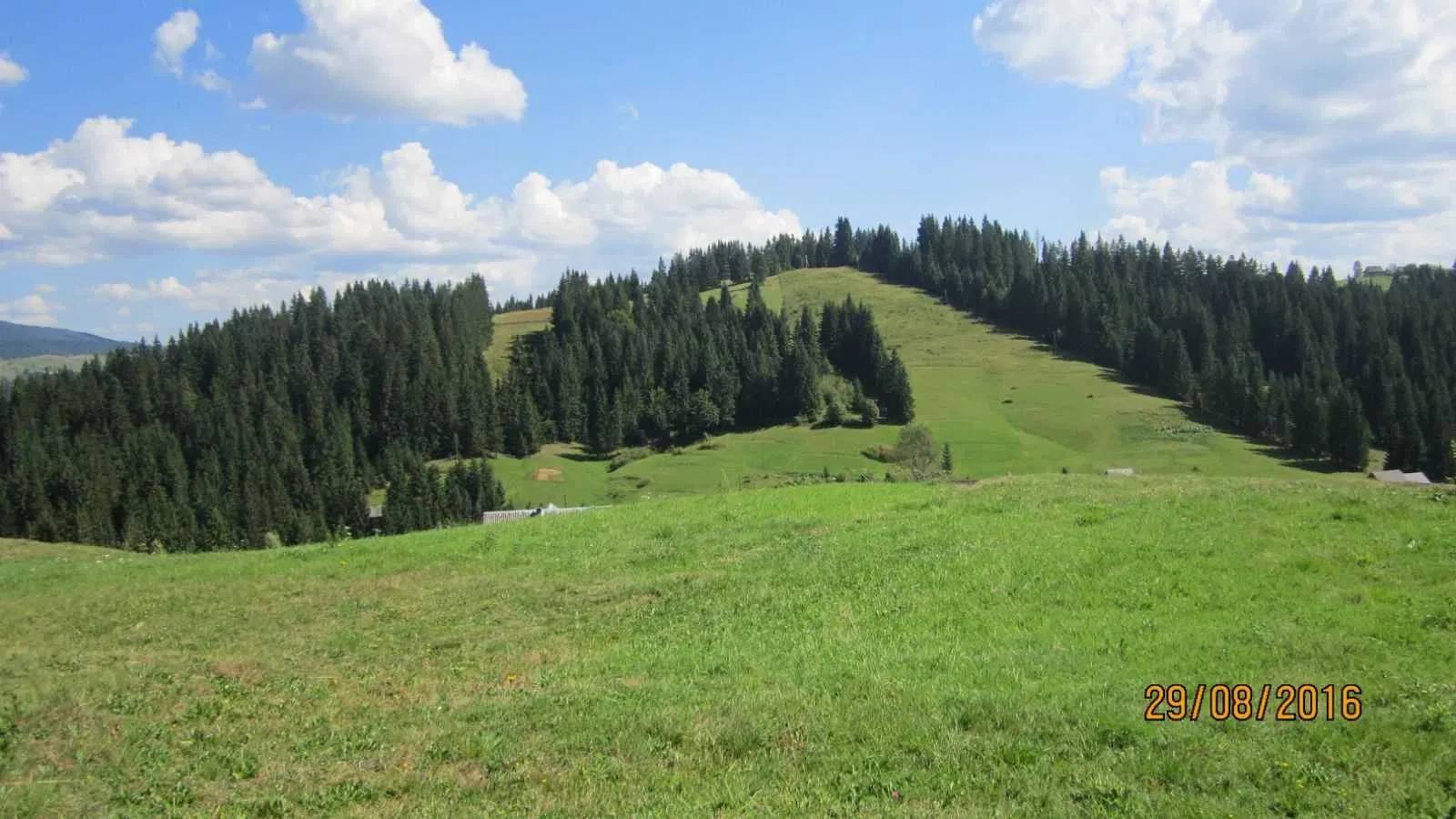 Ділянка 70 соток, Яблуниця: під готель, 8 км від Буковелю - фото 4