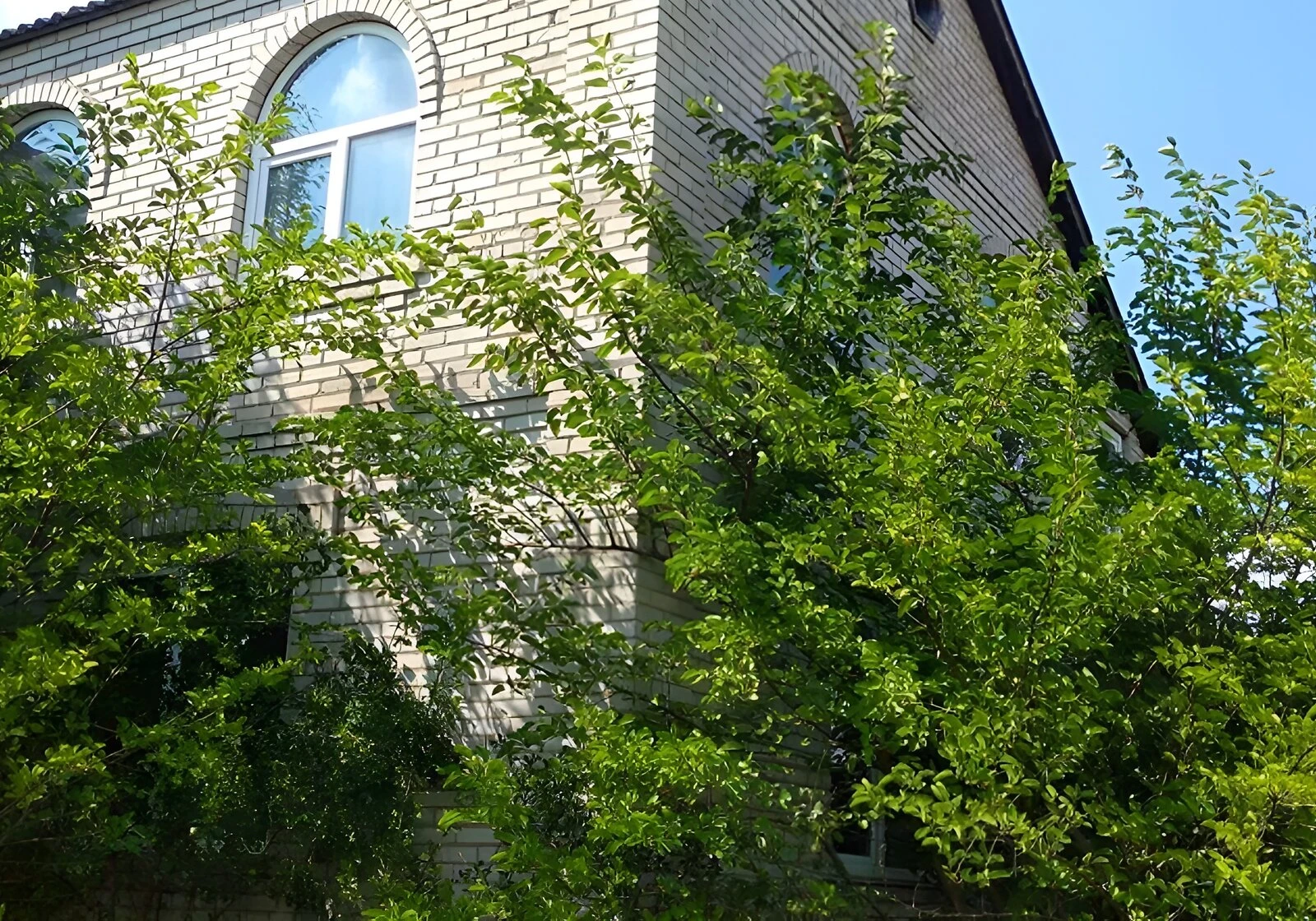 Будинок, Теліжинці: ділянка 25 соток, свердловина - фото 2