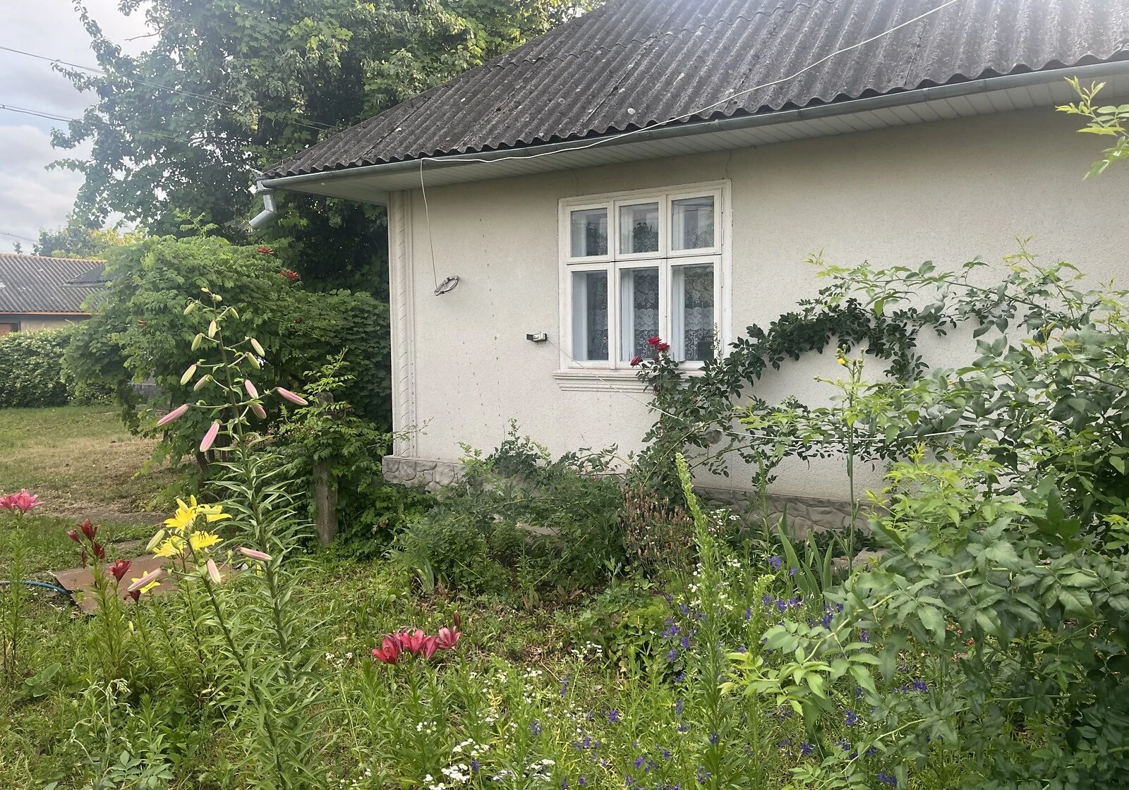 Будинок, Окопи: сад, літня кухня, 25 соток