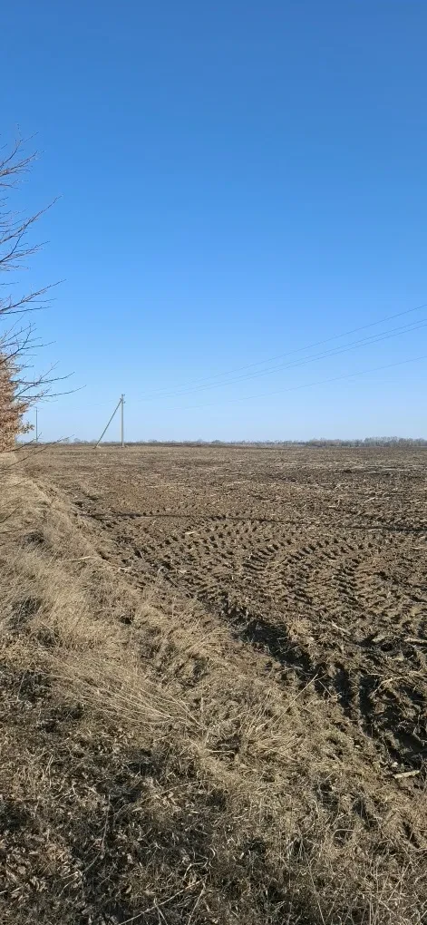 Ділянка 687 соток, Сеньківка: річка Красилівка, асфальтований під'їзд - фото 5