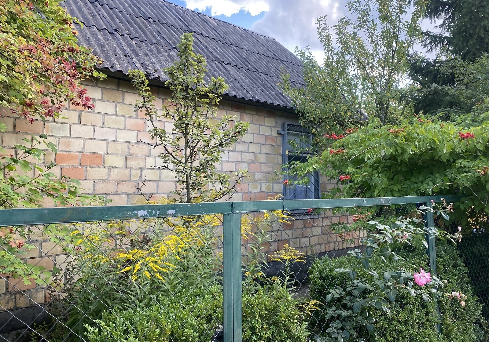 Будинок, Бабинці: дача, 5 соток, камін, фото 2
