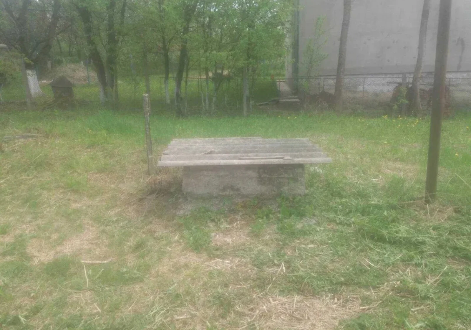 Будинок, Ільниця: літня кухня, господарські будівлі, фото 5