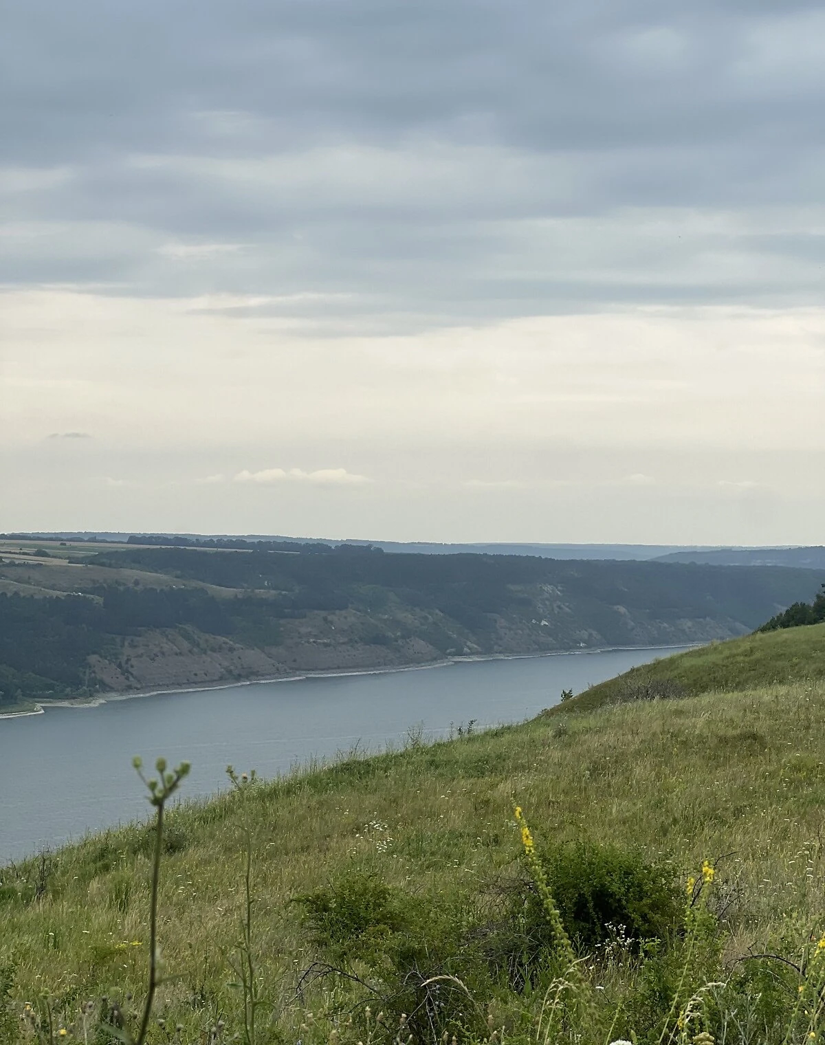 Ділянка 369 соток, Вахнівці: сільськогосподарська, сад, фото 3