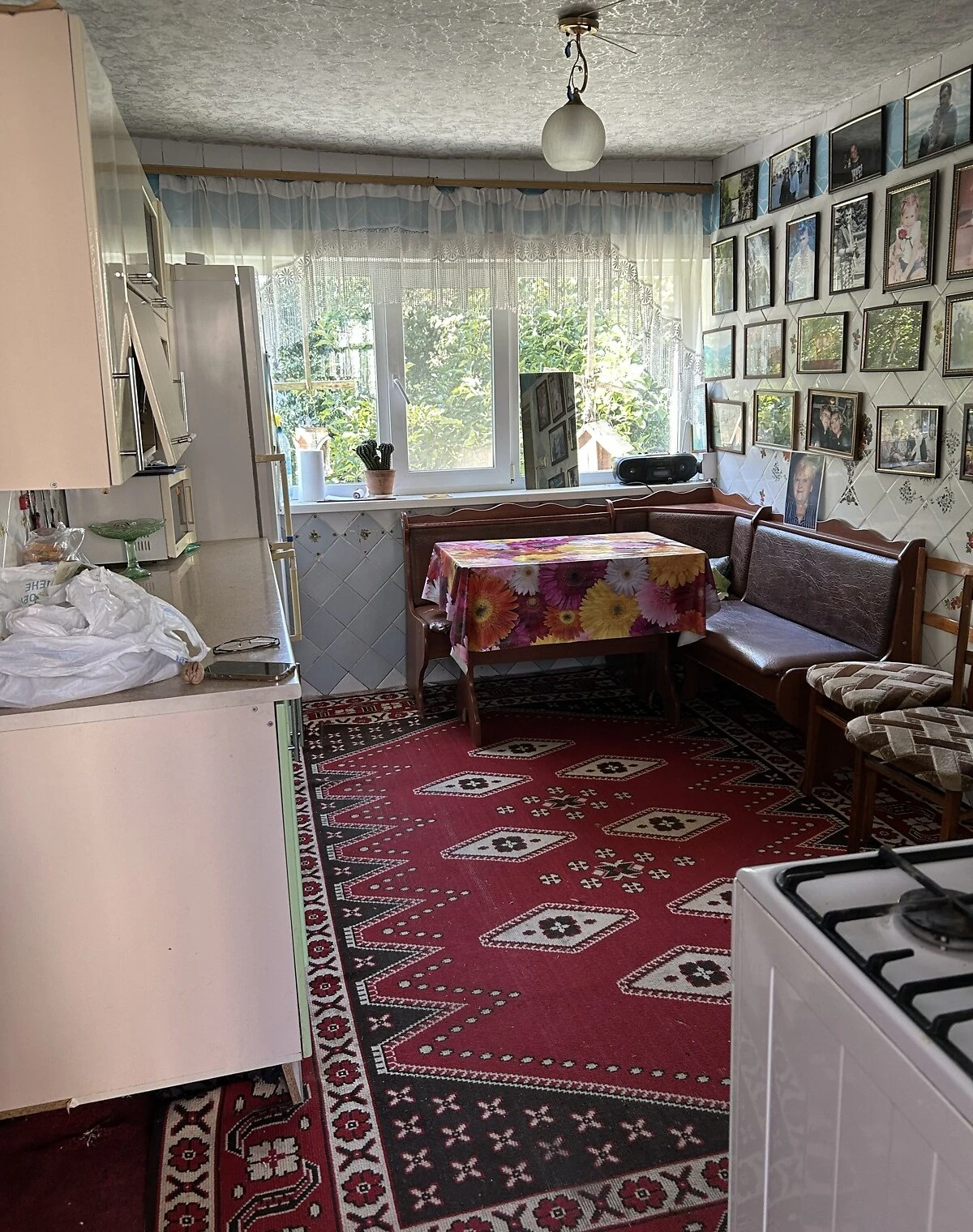 Дом, Звенигородка: колодец, сад и огород, фото 5