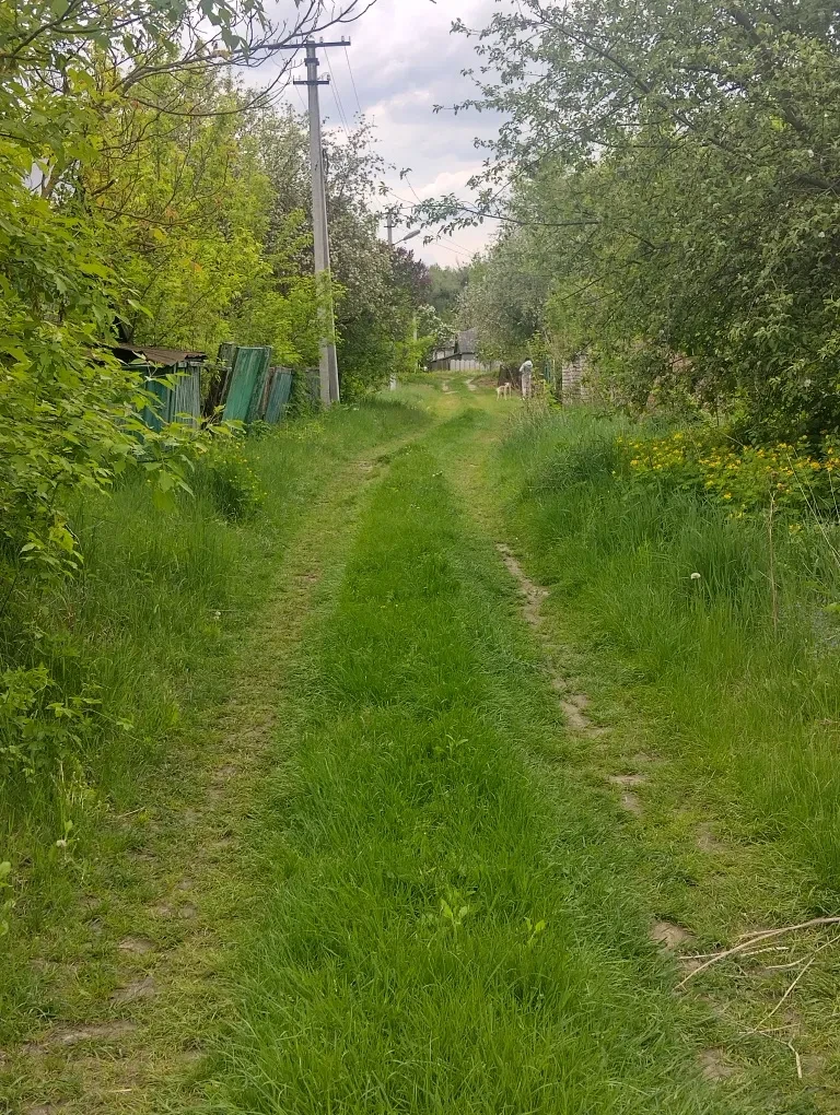 Ділянка 16 соток, Білогородка: під будівництво, річка Ірпінь - фото 2