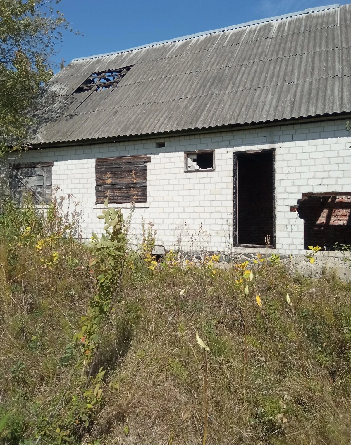 Ділянка 24.94 сотки, Мошни: під житлову забудову, торг можливий - фото 5