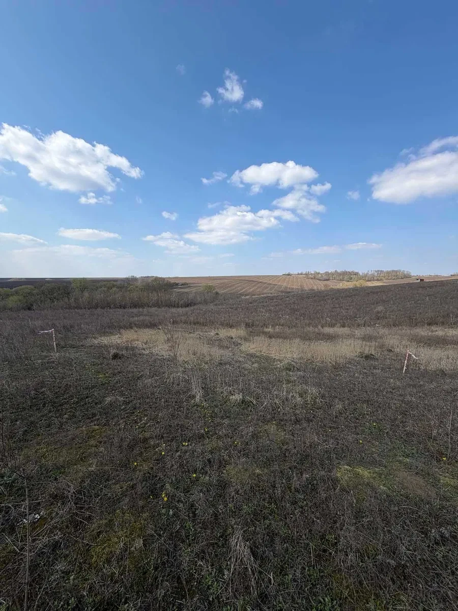 Ділянка 0.60 соток у масиві «Королівський»: світло, обмін - фото 2