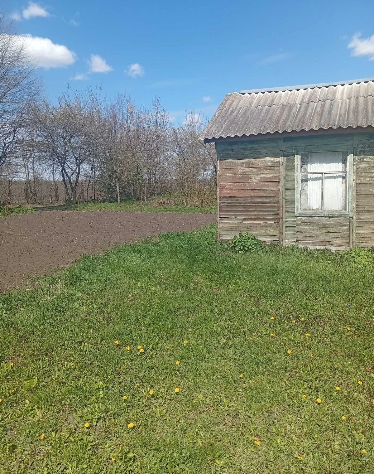 Дом, Козятин: не использовался после постройки, торг - фото 4