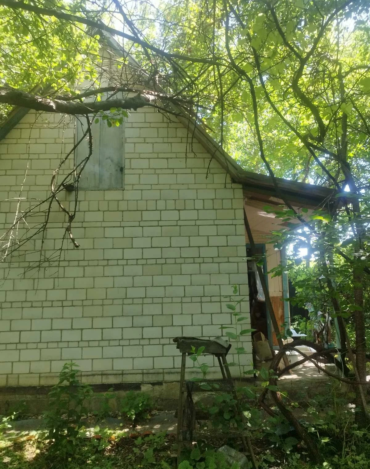 Ділянка 6.1 сотки, Підгірці (Обухів): під житлову забудову, сад і город - фото 3