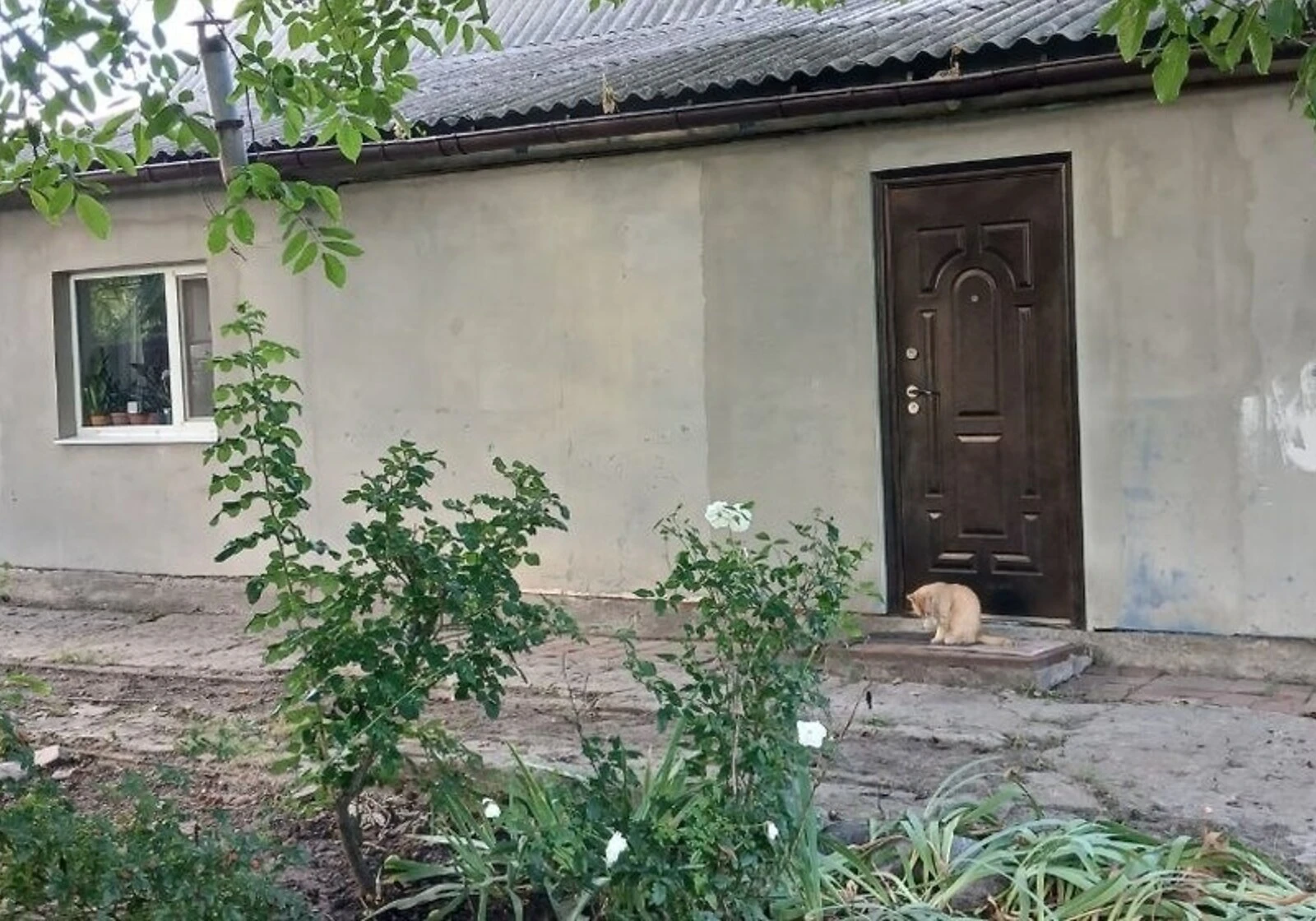Будинок, Чутове: бесідка, свердловина, фото 4