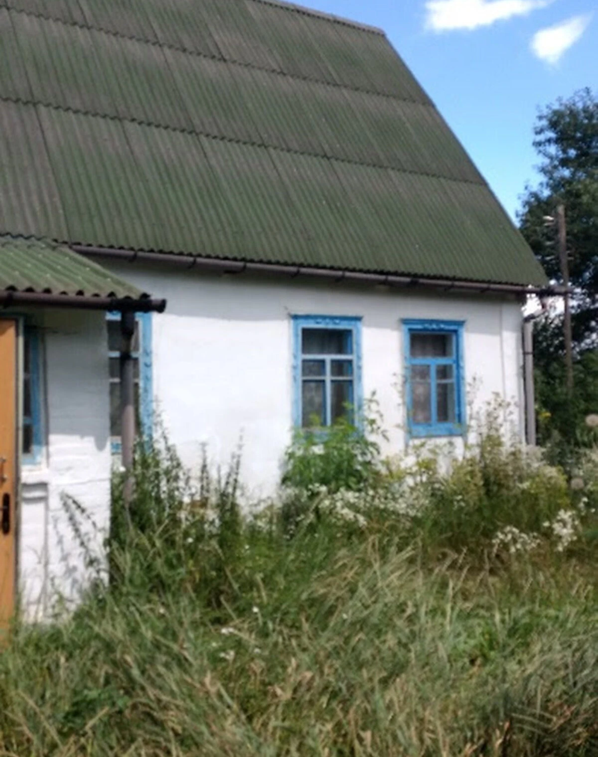Дом, Фасова: колодец, погреб, газовое отопление, фото 3