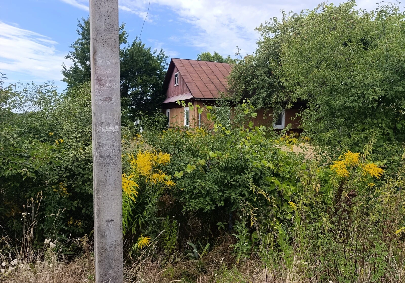 Будинок, Шкарів: гараж із підвалом, 25 соток, літня кухня, фото 5