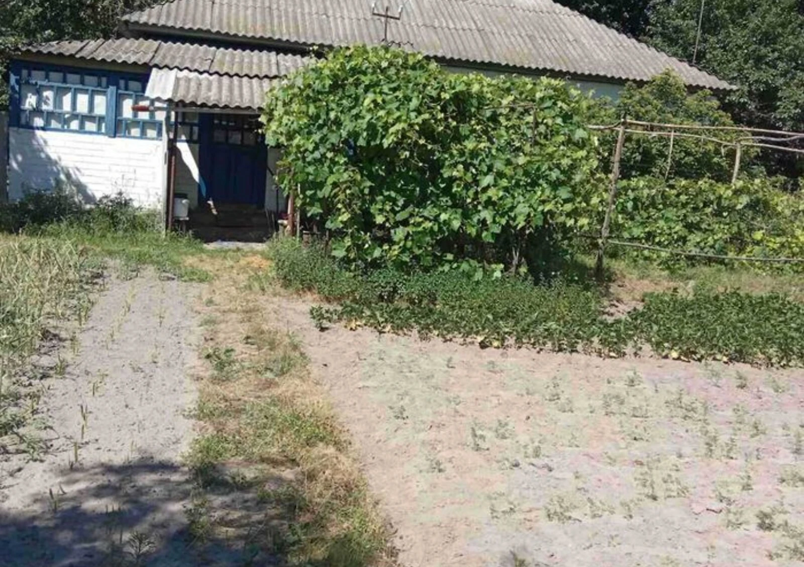 Будинок, Райгородок: літня кухня, сад, криниця
