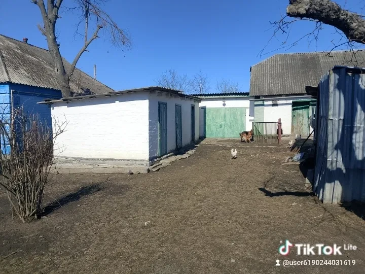 Дом, Чепелиевка: гараж, 62 сотки, єОселя, фото 5