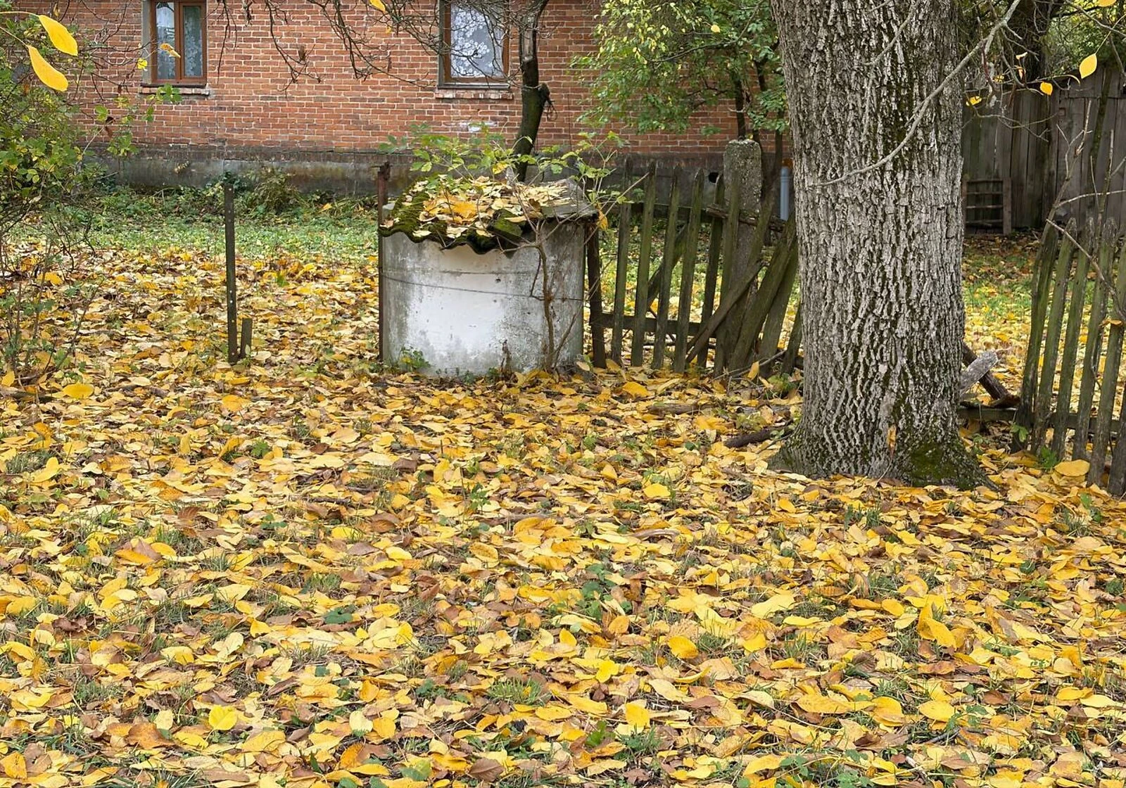 Будинок, Лугове: криниця, город і сад, можливий торг, фото 4
