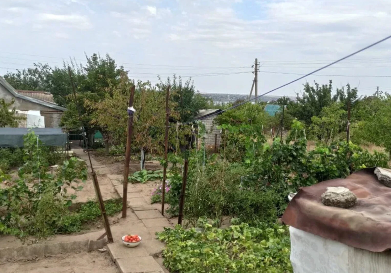 Дача, Садове товариство Лісне: 5 соток, газобетонні стіни - фото 3