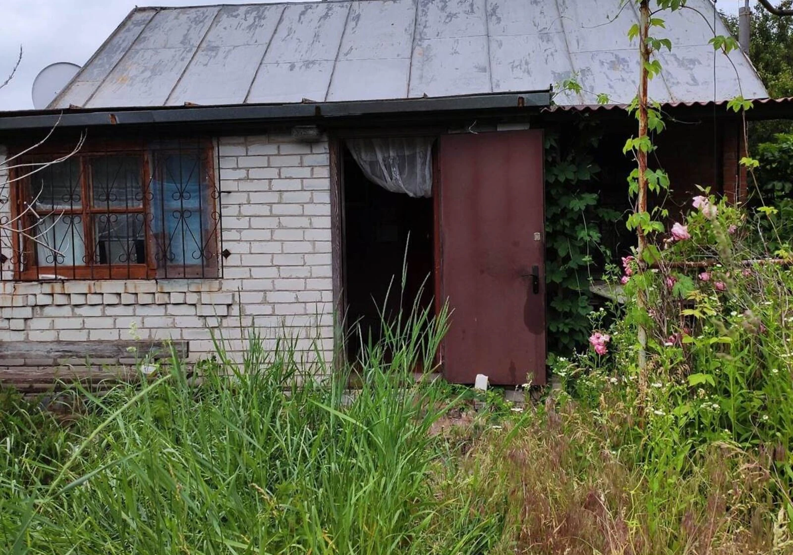 Дача, Вільхівщина: тераса, сад, криниця і свердловина