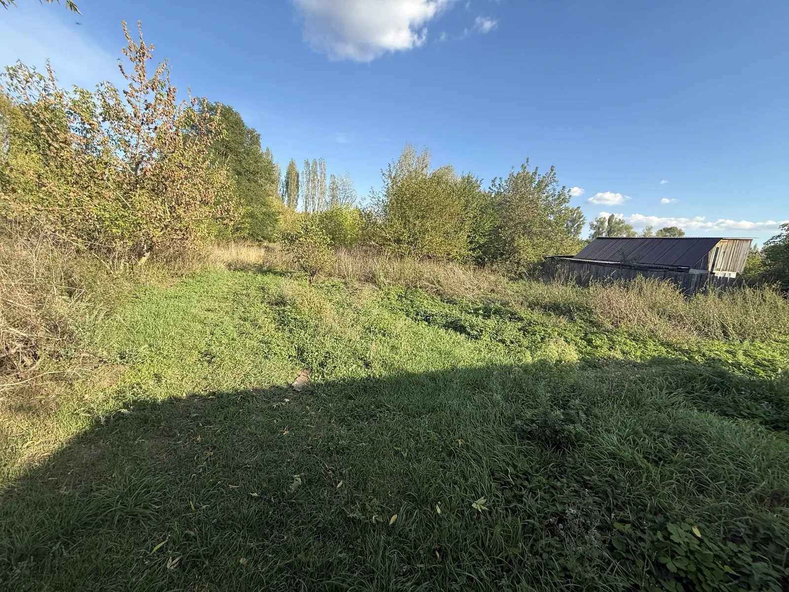 Ділянка 14 соток, Калита: під забудову, електрика підведена, гараж, фото 3