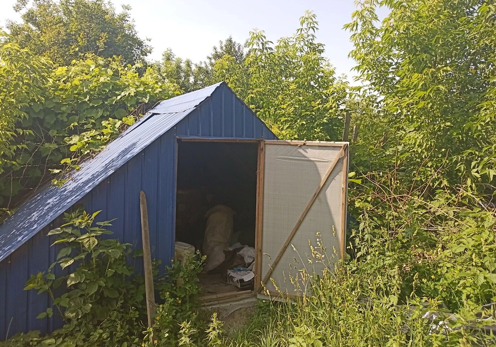 Будинок, Новоселиця (Кролевець): сад і бесідка, опалення, фото 5