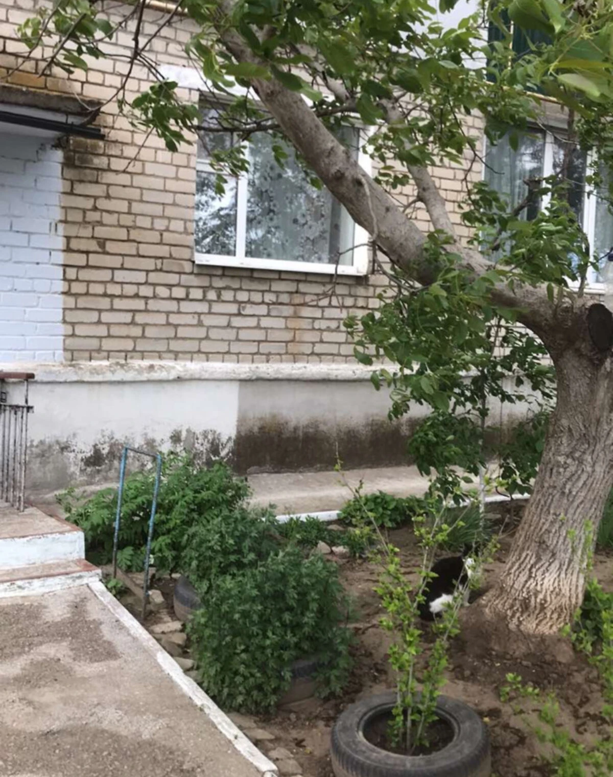 3-комнатная квартира, Великая Корениха: кирпичные стены, торг возможен - фото 2