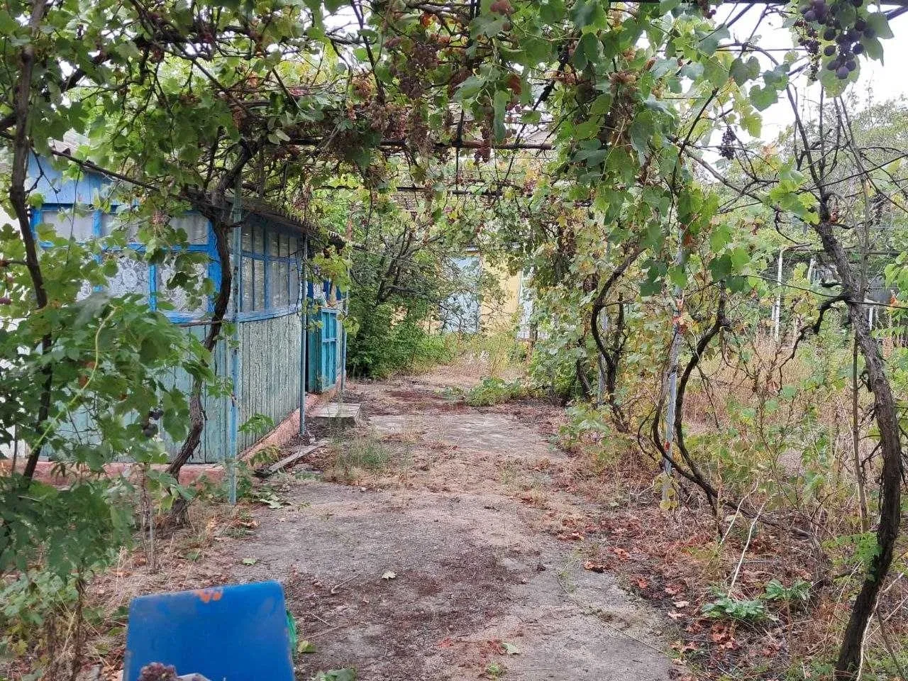 Дача, Затока: під'їзд із трьох сторін, місце під ресторанчик - фото 4