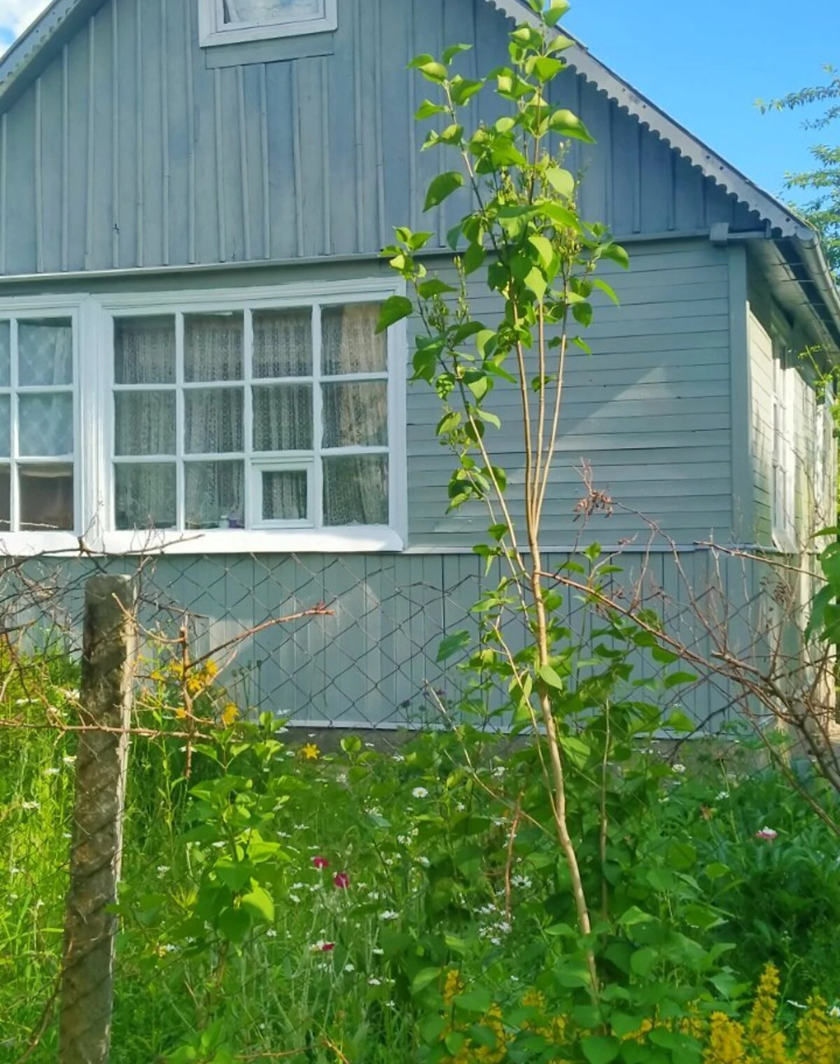 Будинок, Соколовський масив: цегляні стіни, фото 5