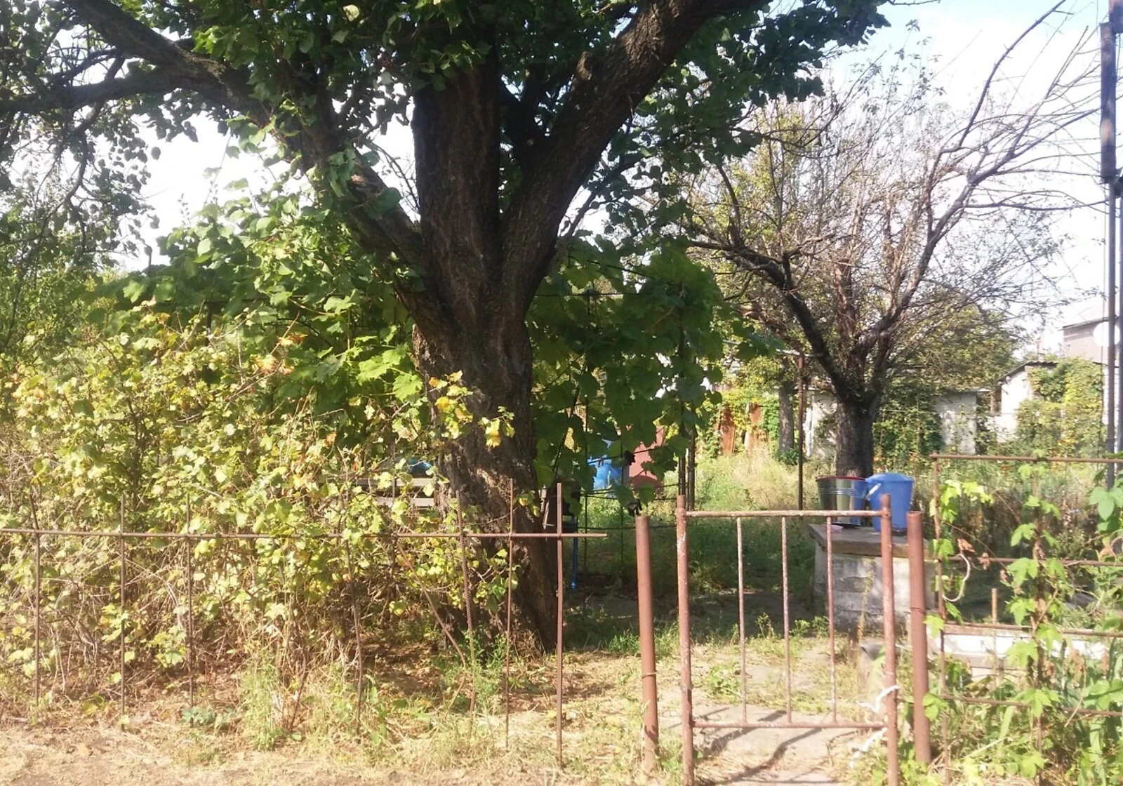 Ділянка 6 соток, Куліші: свердловина, город і сад, відеоспостереження - фото 1