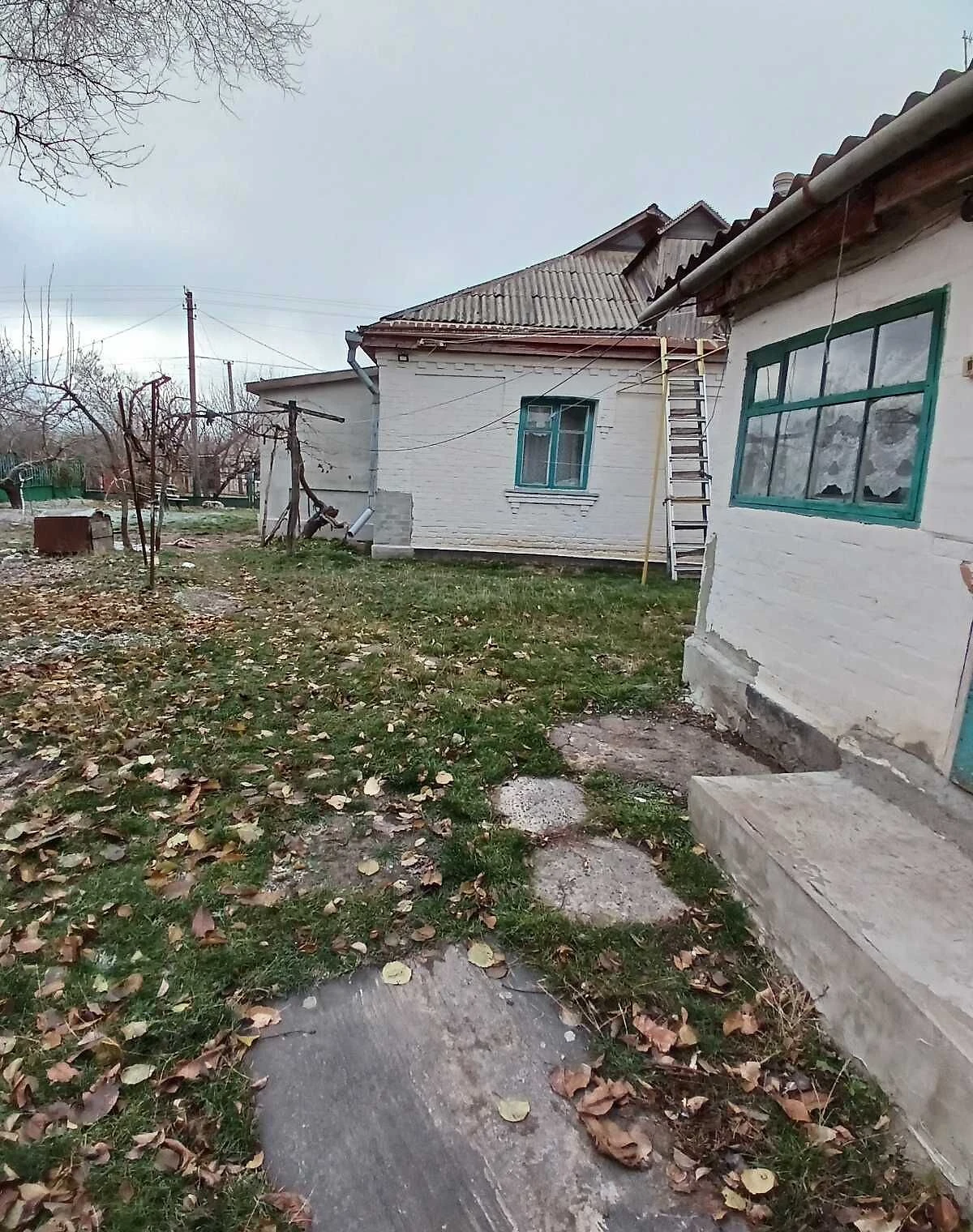 Будинок, Ладижинка: літня кухня, сад, цегляні стіни - фото 1