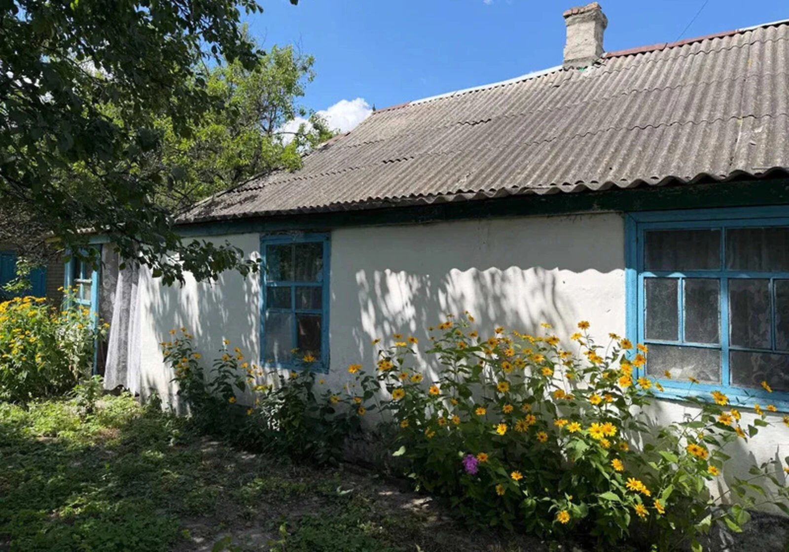 Будинок, Вільна Терешківка: веранда, 32 сотки, торг, фото 5