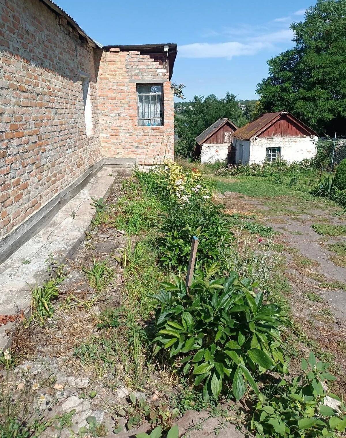 Будинок, Мала Виска: опалення, твердопаливний котел, торг - фото 4