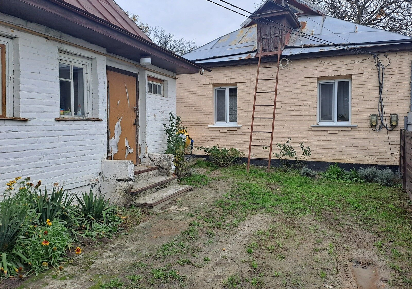 Дом, Плесецкое: скважина, летняя кухня, участок 11.4 сотки - фото 2