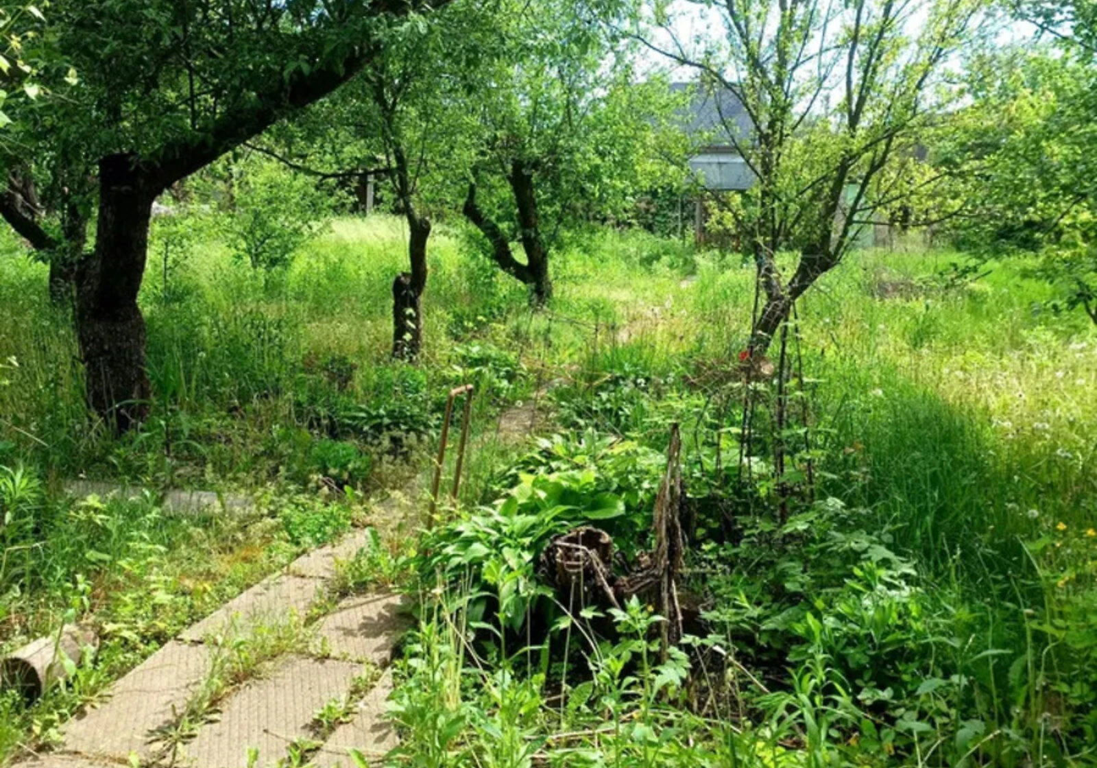 Ділянка 5.3 сотки, Полтава: сільськогосподарського призначення, фото 5