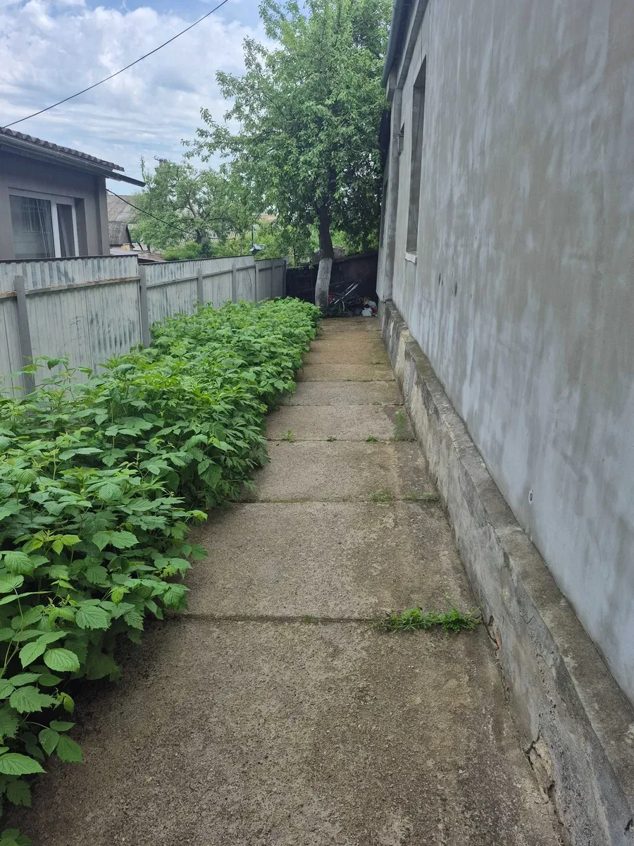 3-кімнатна квартира, Олександрівка: власний город, торг, фото 3