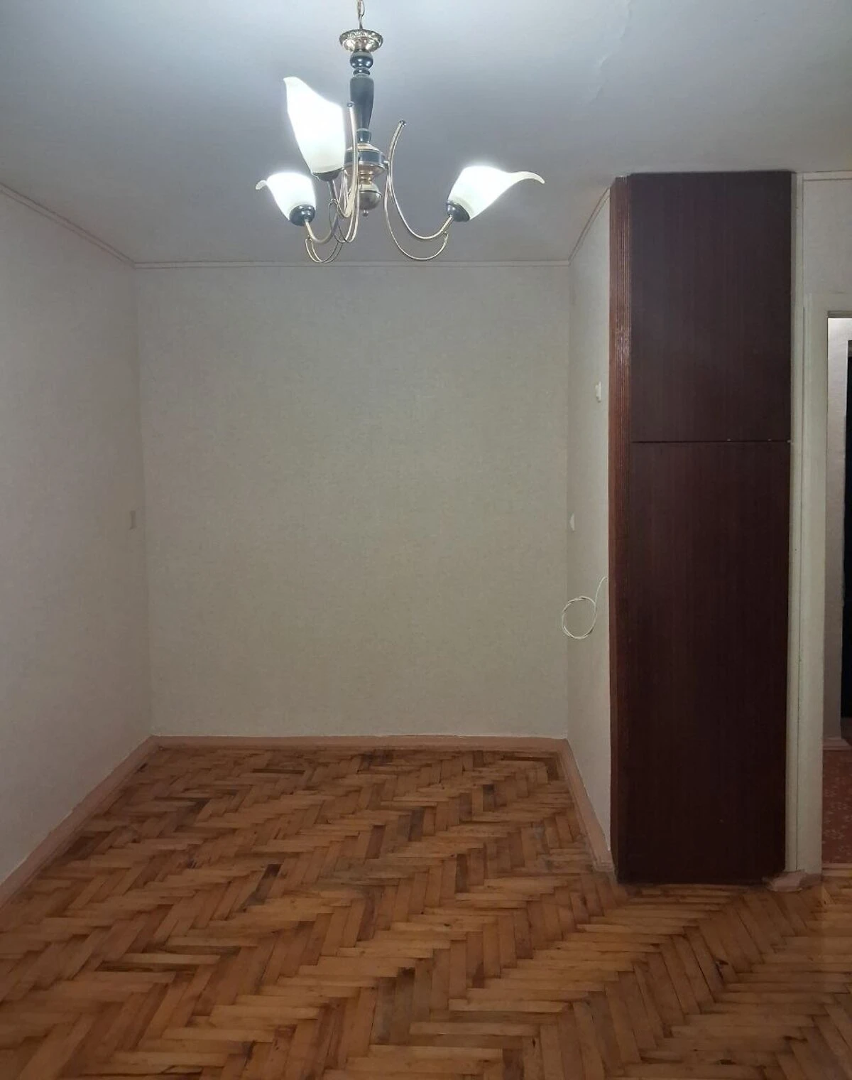1-комнатная квартира, Вознесеновский: вода и отопление без света, фото 2