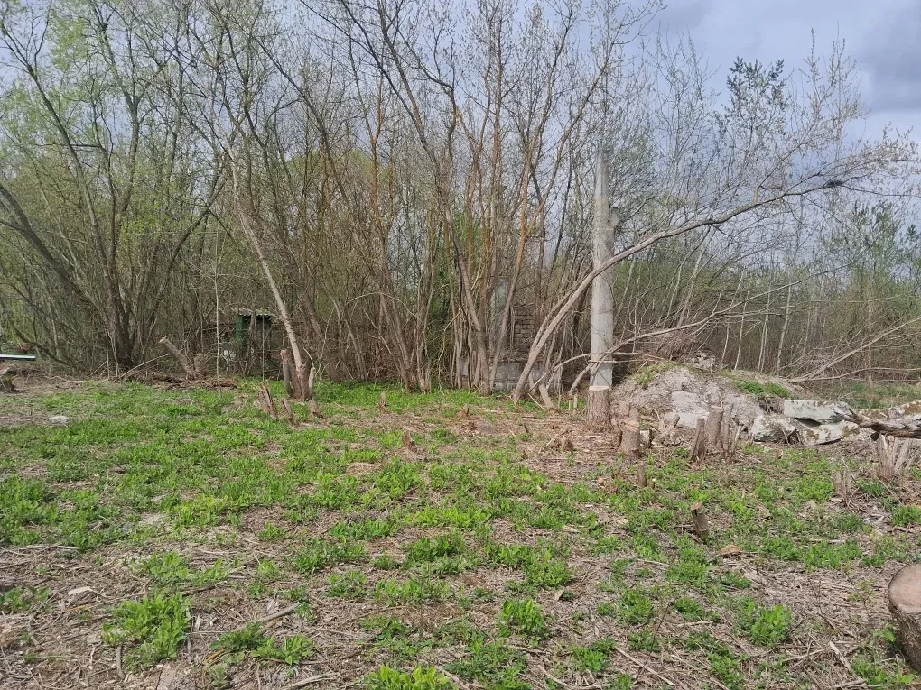 Будівля котельні, Залізці: берег річки Серет, кранбалка - фото 3