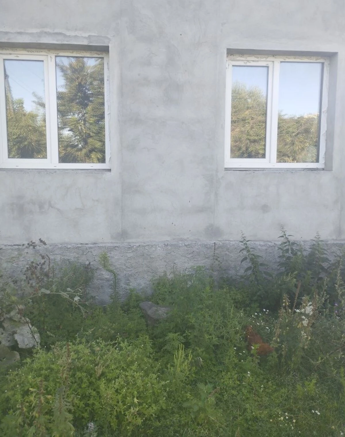 3-кімнатна квартира, Тетіїв: чорнова штукатурка - фото 2
