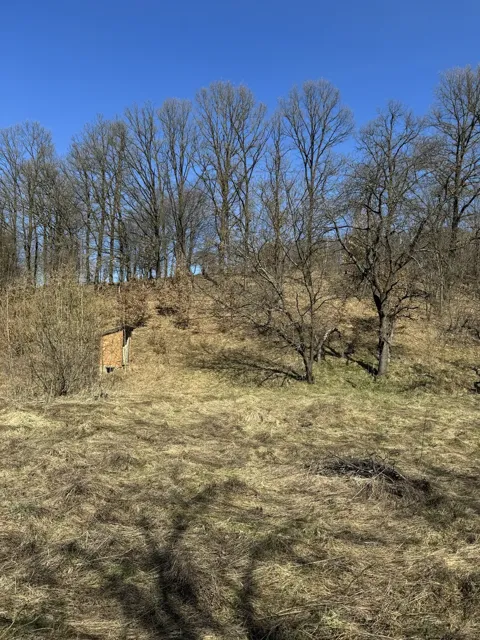Ділянка 50 соток, Тячів: асфальтована дорога, будинок і туалет - фото 3